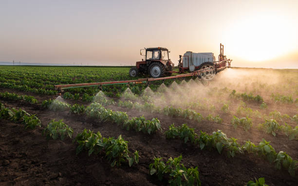 Best Mosquito Control Services  in Holton, KS