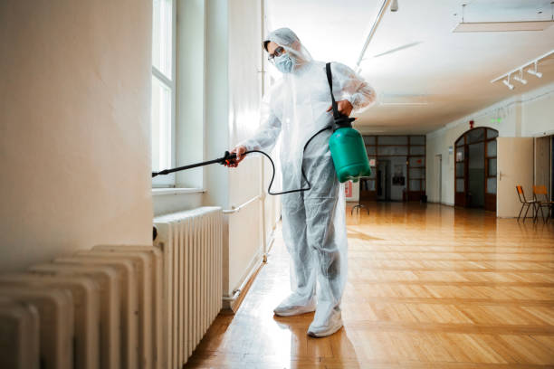 Best Flea Control Services  in Holton, KS