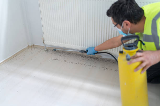 Best Best Pest Control Companies  in Holton, KS
