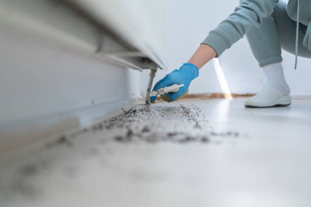 Best Pest Control Near Me  in Holton, KS